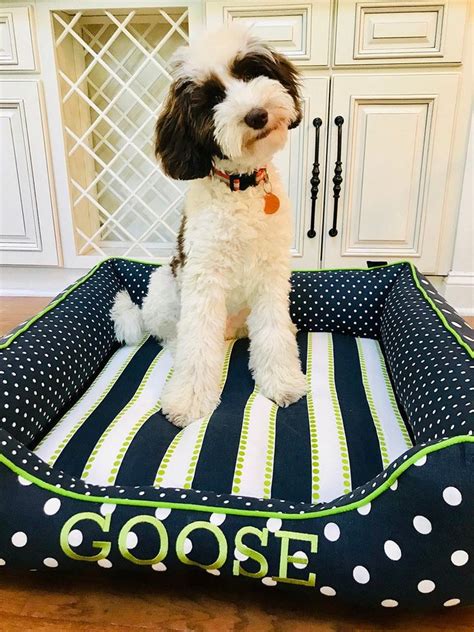 monogrammed dog beds personalized.